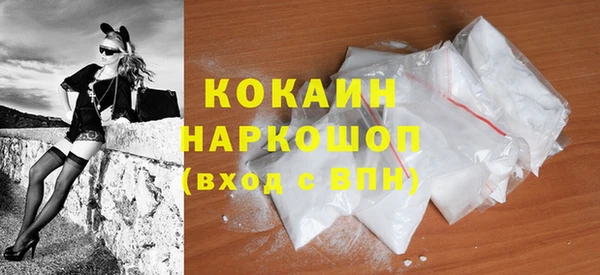 мдпв Гатчина