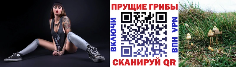 Псилоцибиновые грибы мицелий  Струнино 